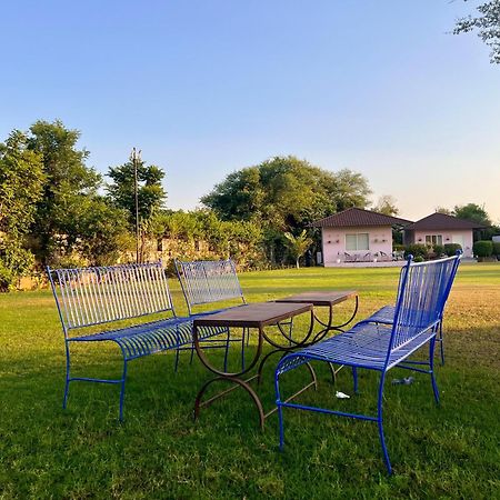 Gazibo Elegant Farm Stay With Swimming Pool 斋浦尔 外观 照片
