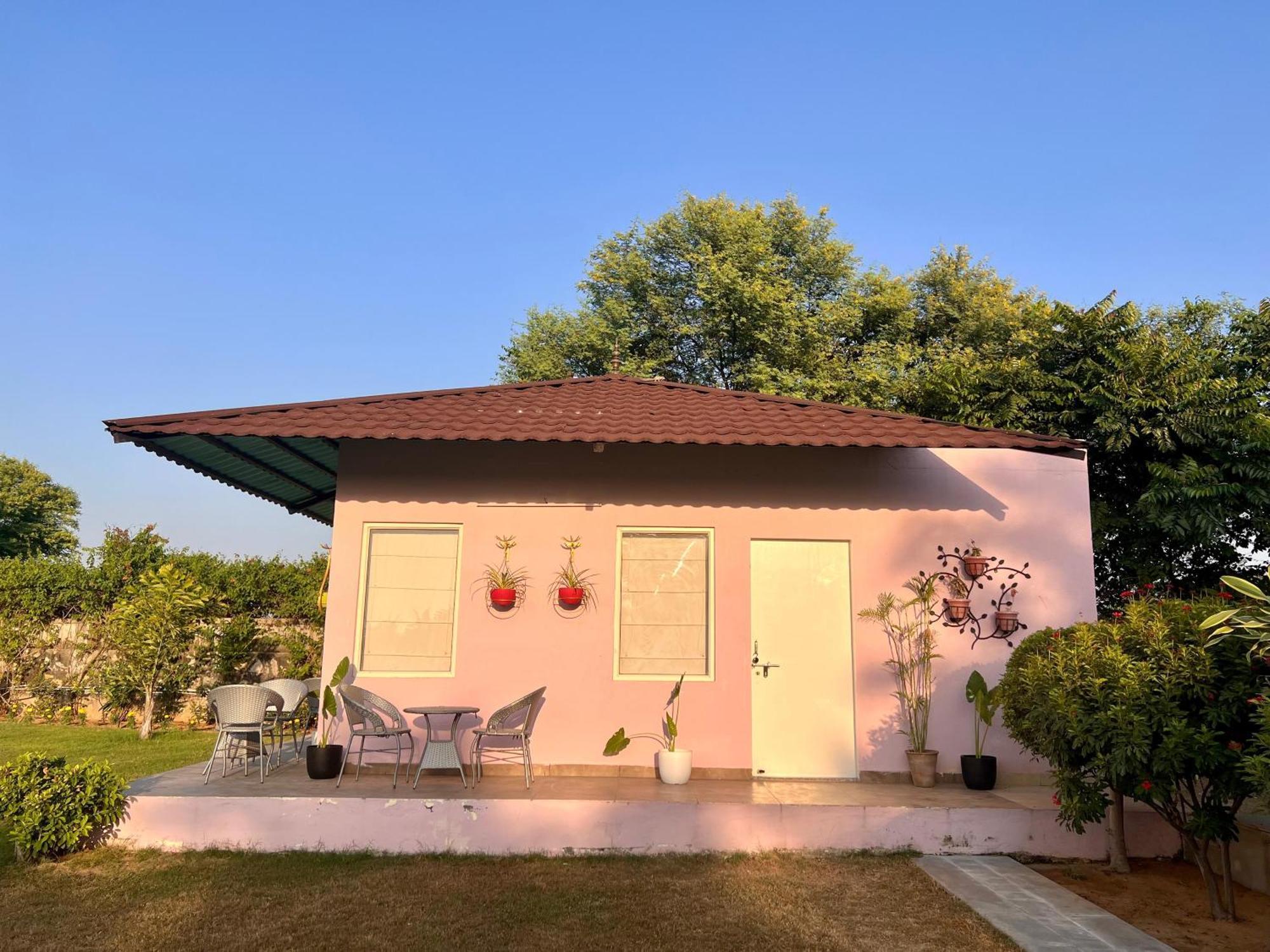 Gazibo Elegant Farm Stay With Swimming Pool 斋浦尔 外观 照片