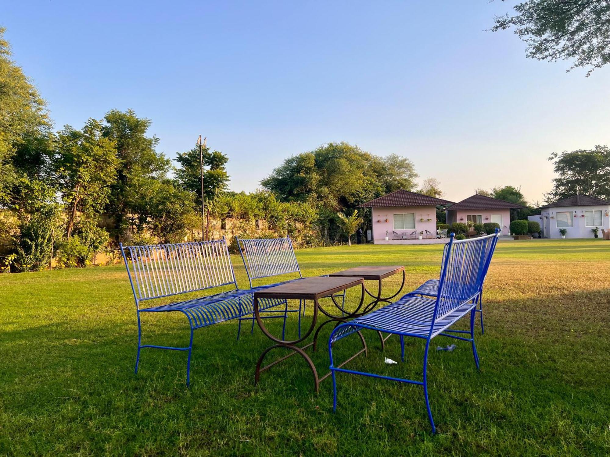 Gazibo Elegant Farm Stay With Swimming Pool 斋浦尔 外观 照片